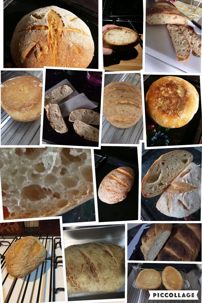 Workshop 3 - First breads