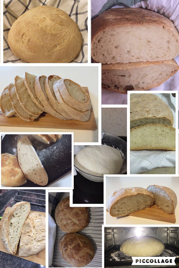 Workshop 4 - First breads