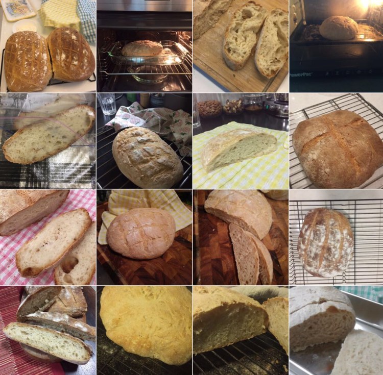 Workshop 6 - First Breads