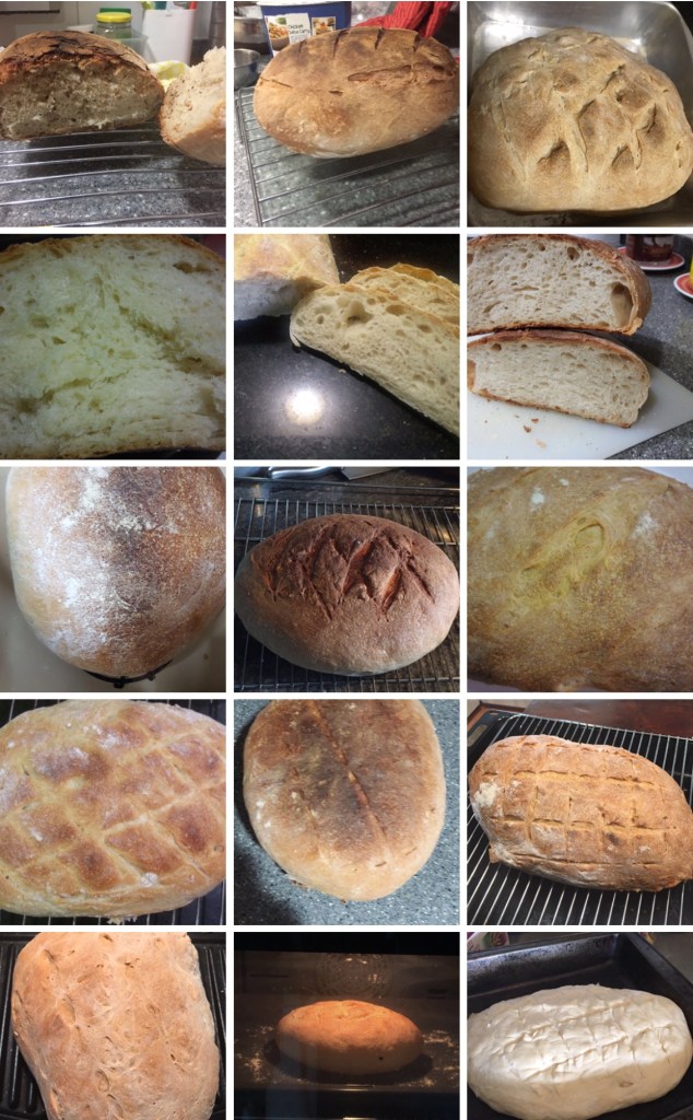 Workshop 8 - First Breads