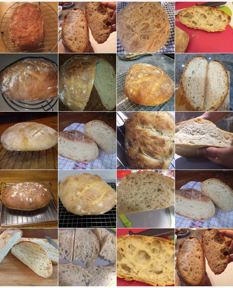 Workshop 9 - First Breads