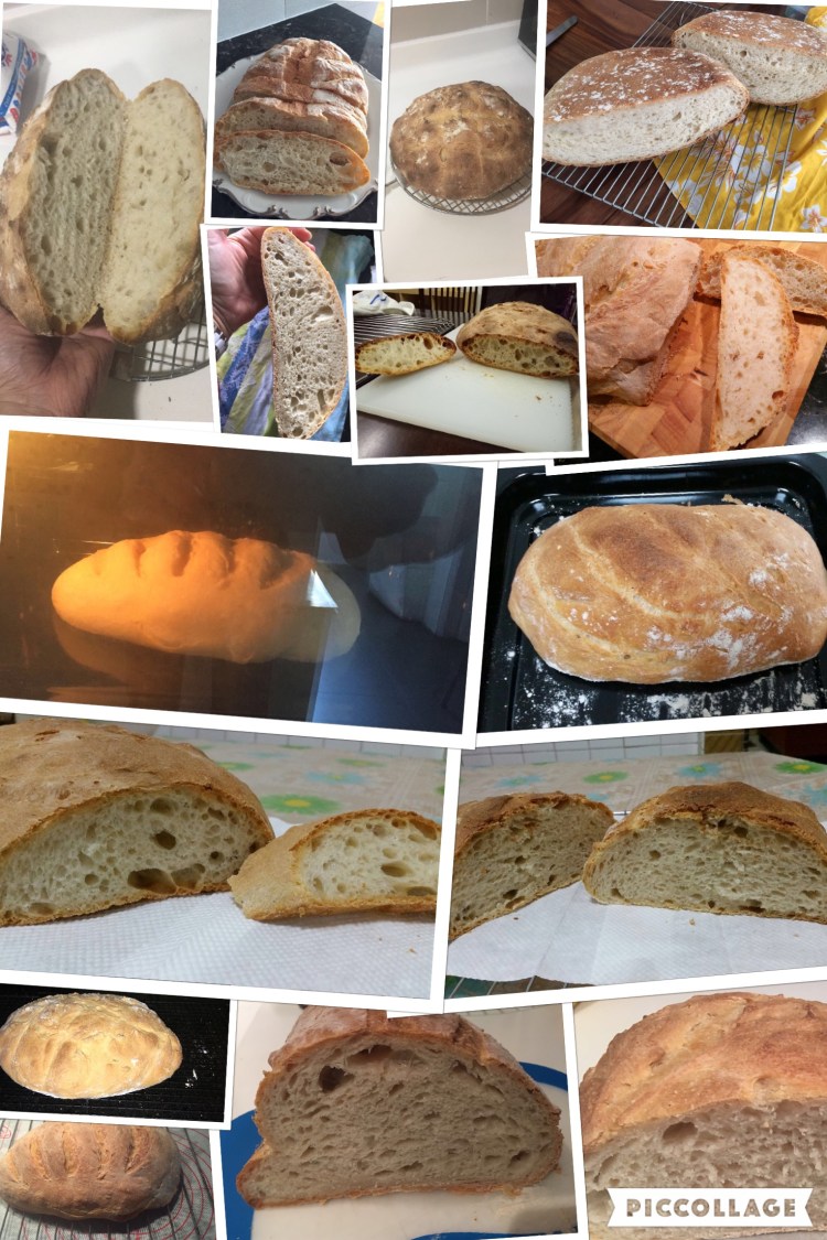 Workshop 5 - First breads