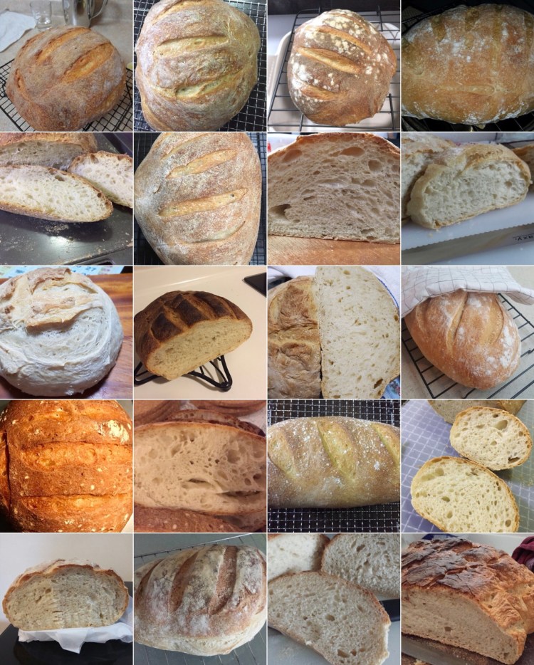 Sourdough WS16 Breads