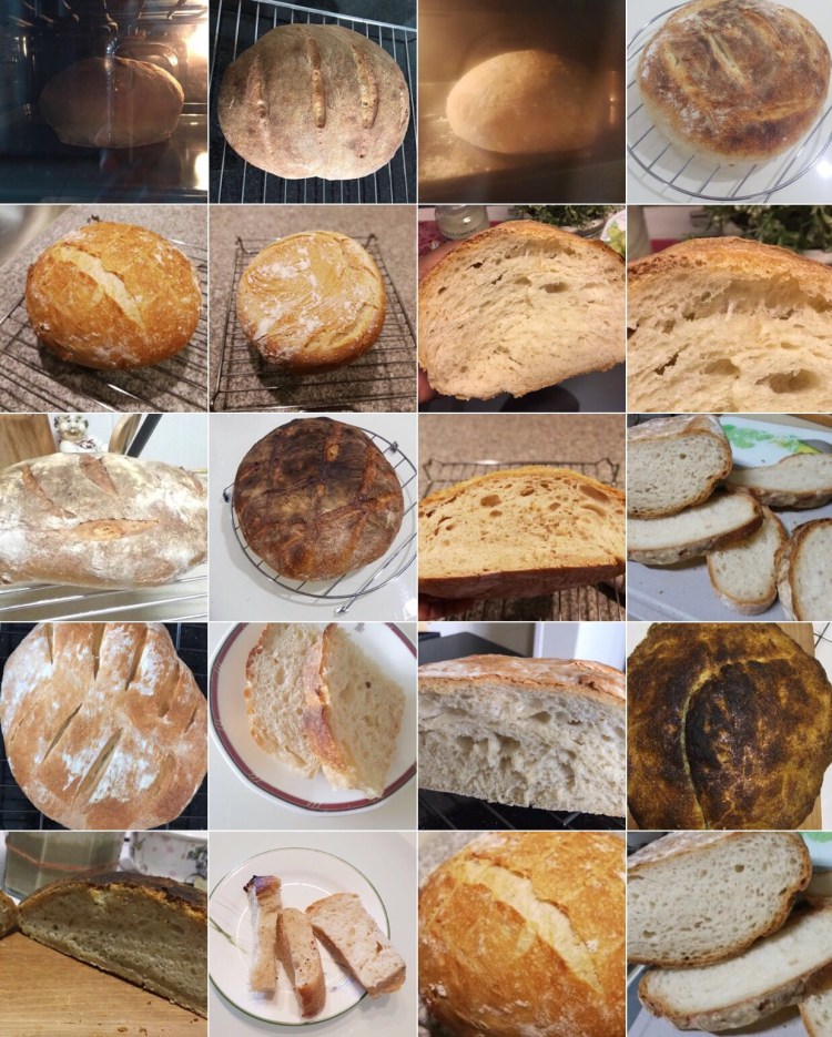 WKSP 11, The breads